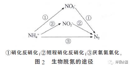 氨氮廢水處理工藝