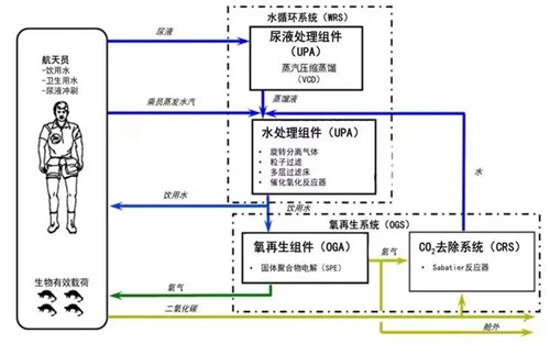 神舟十二號(hào).jpg